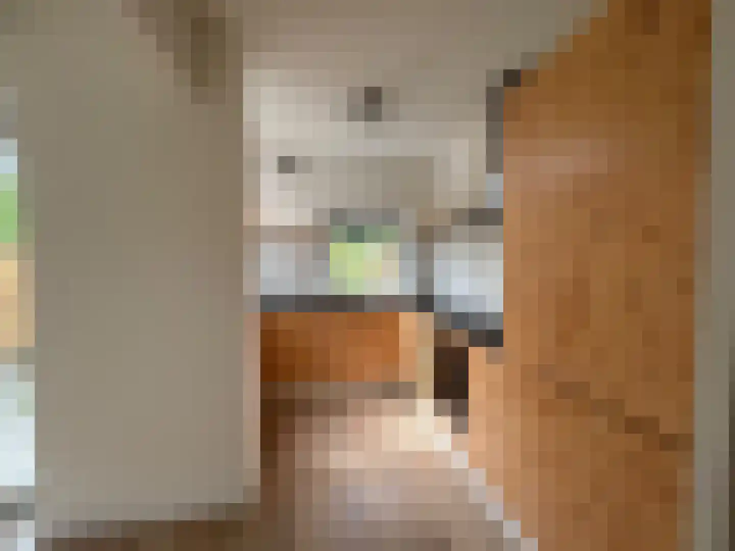 Van Eckstraat 5 Wieringerwerf thumbnail 13