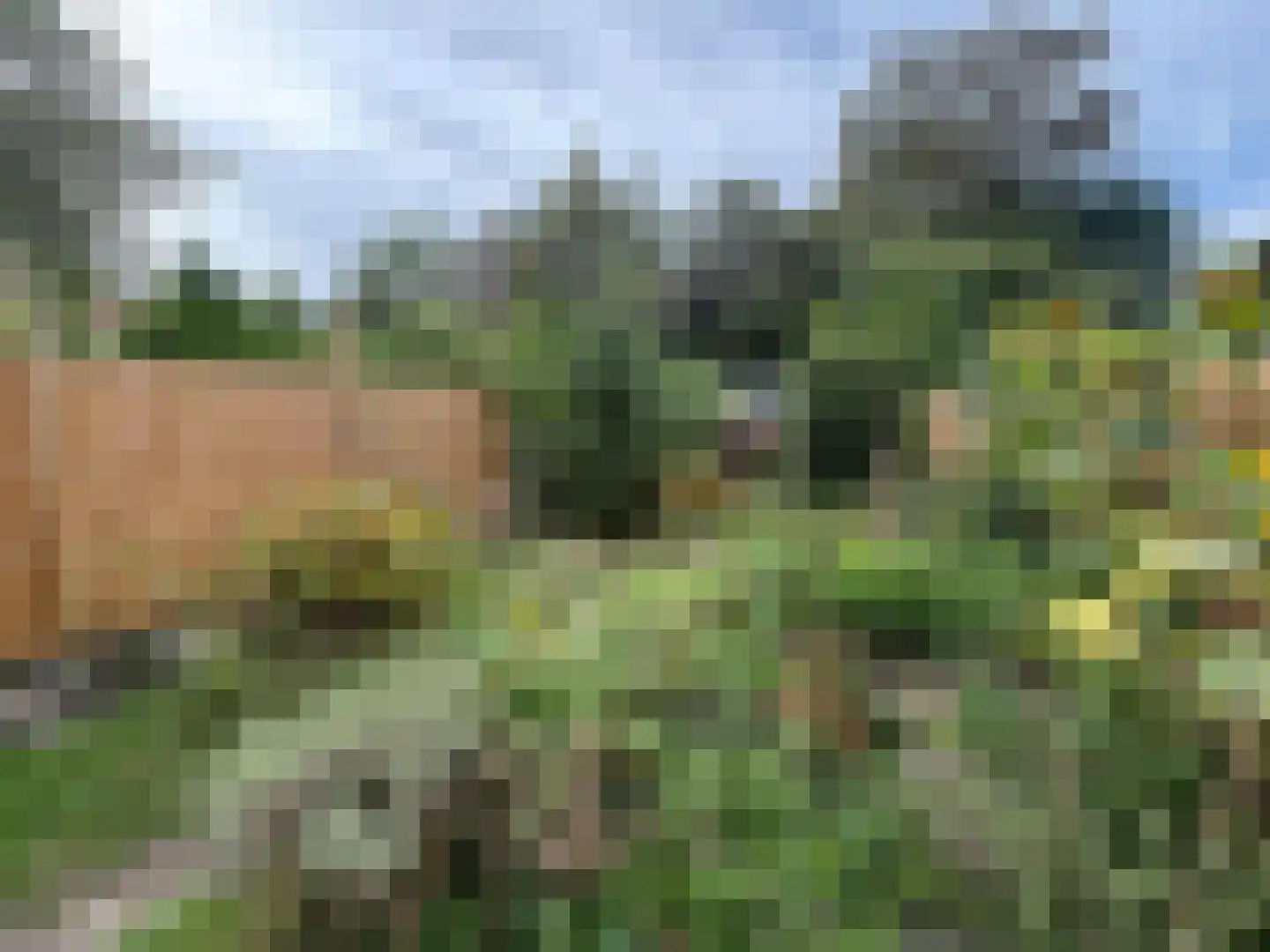 Van Eckstraat 5 Wieringerwerf thumbnail 16