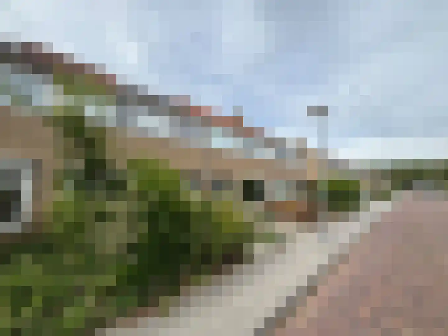Van Eckstraat 5 Wieringerwerf foto 3