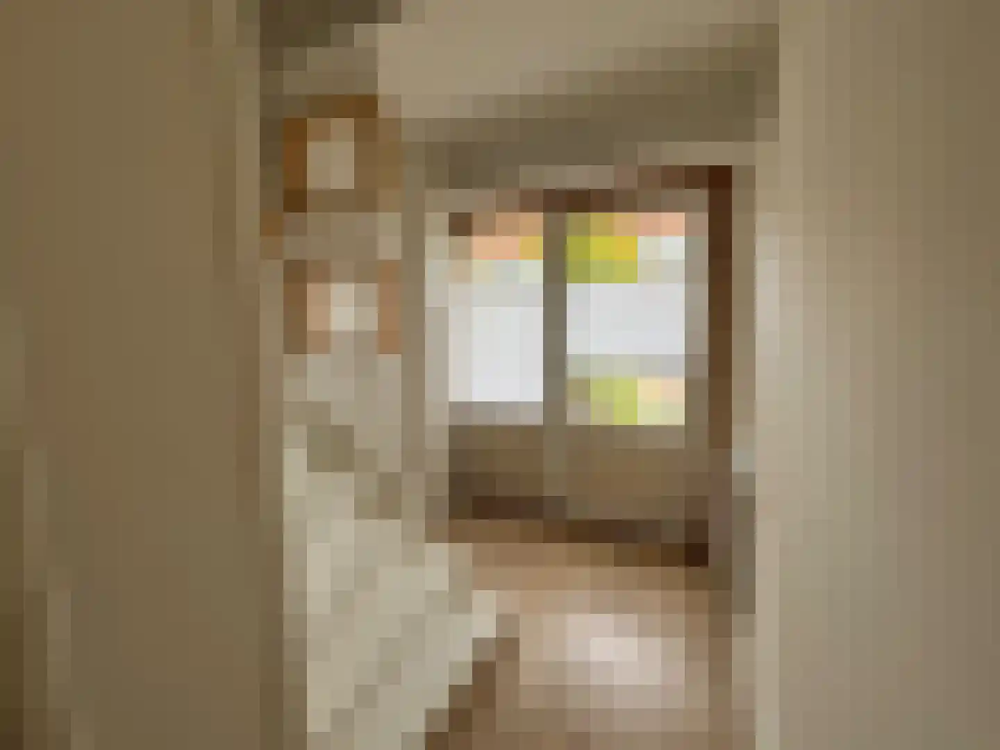 Van Eckstraat 5 Wieringerwerf thumbnail 4