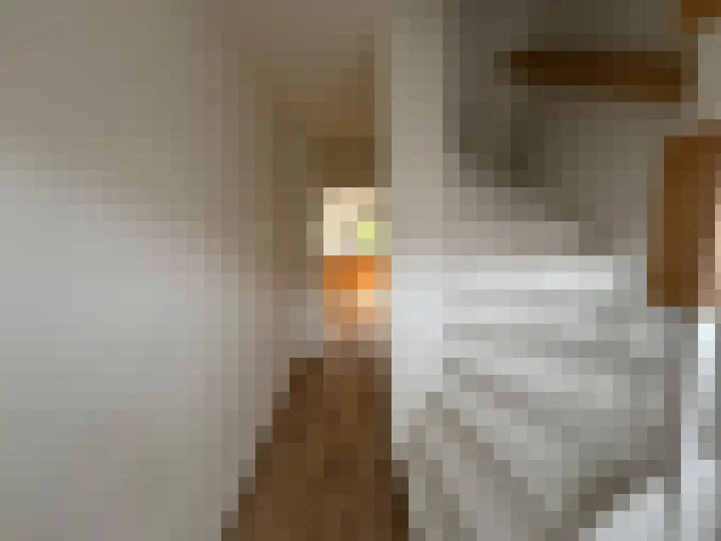 Van Eckstraat 5 Wieringerwerf thumbnail 5