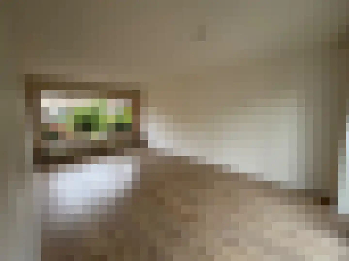 Van Eckstraat 5 Wieringerwerf thumbnail 6