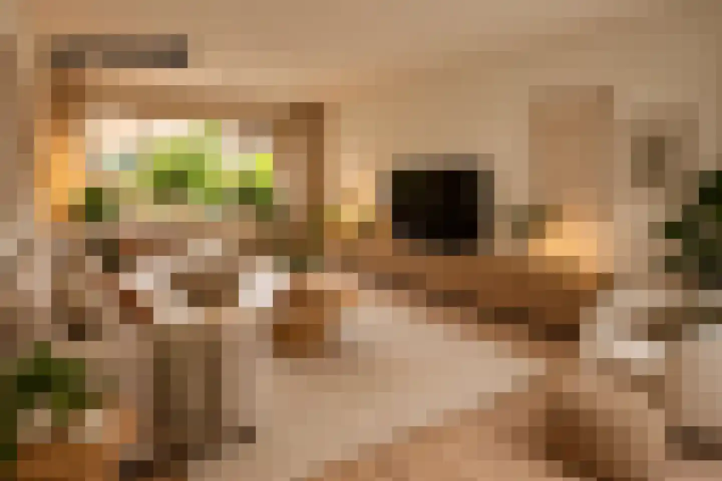 Van Eckstraat 5 Wieringerwerf thumbnail 7