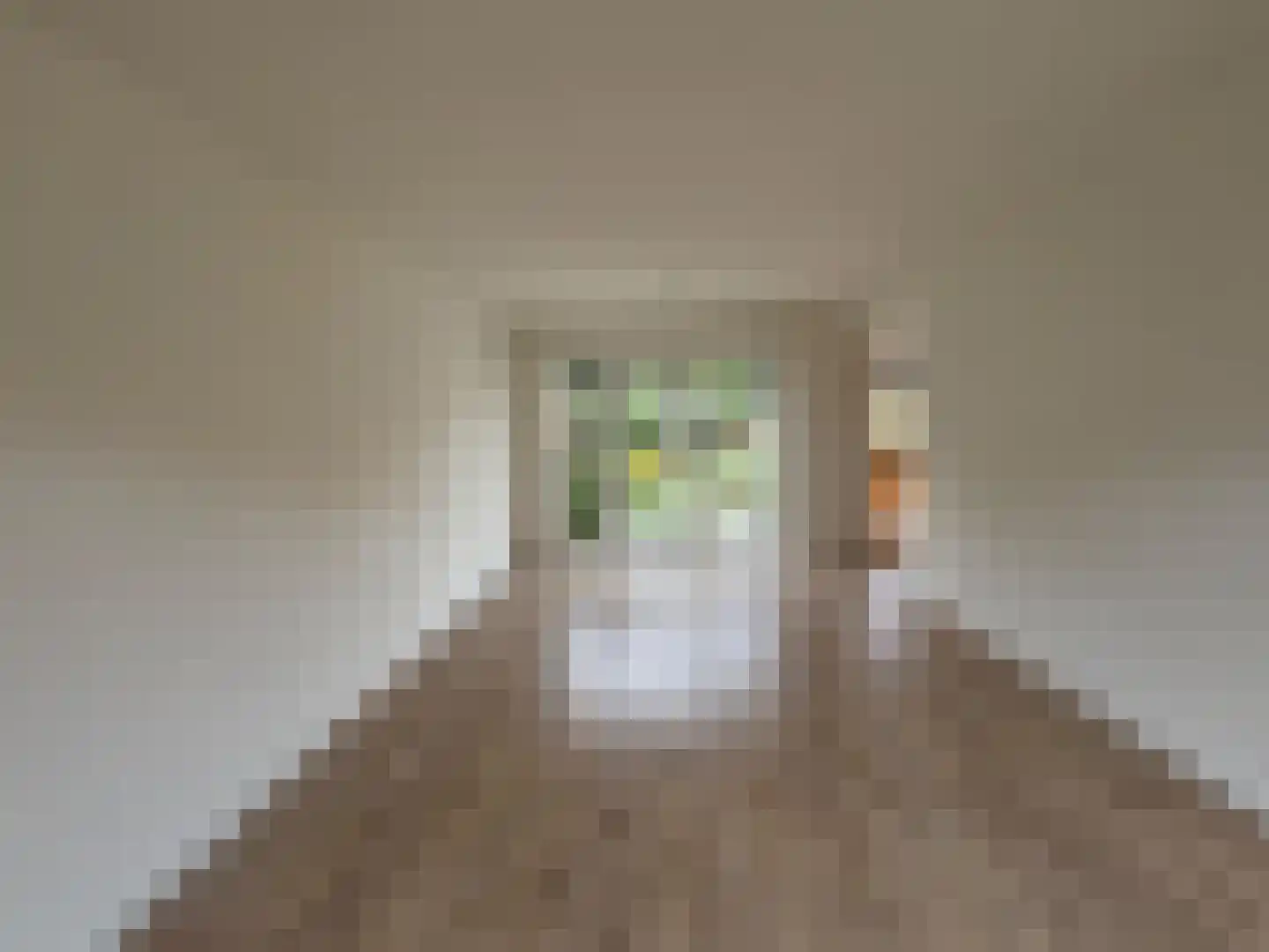 Van Eckstraat 5 Wieringerwerf thumbnail 8