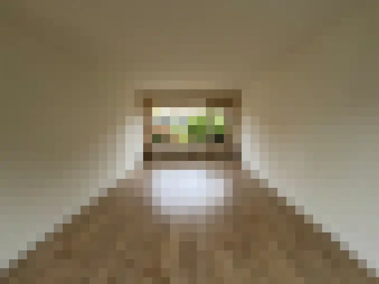 Van Eckstraat 5 Wieringerwerf thumbnail 9
