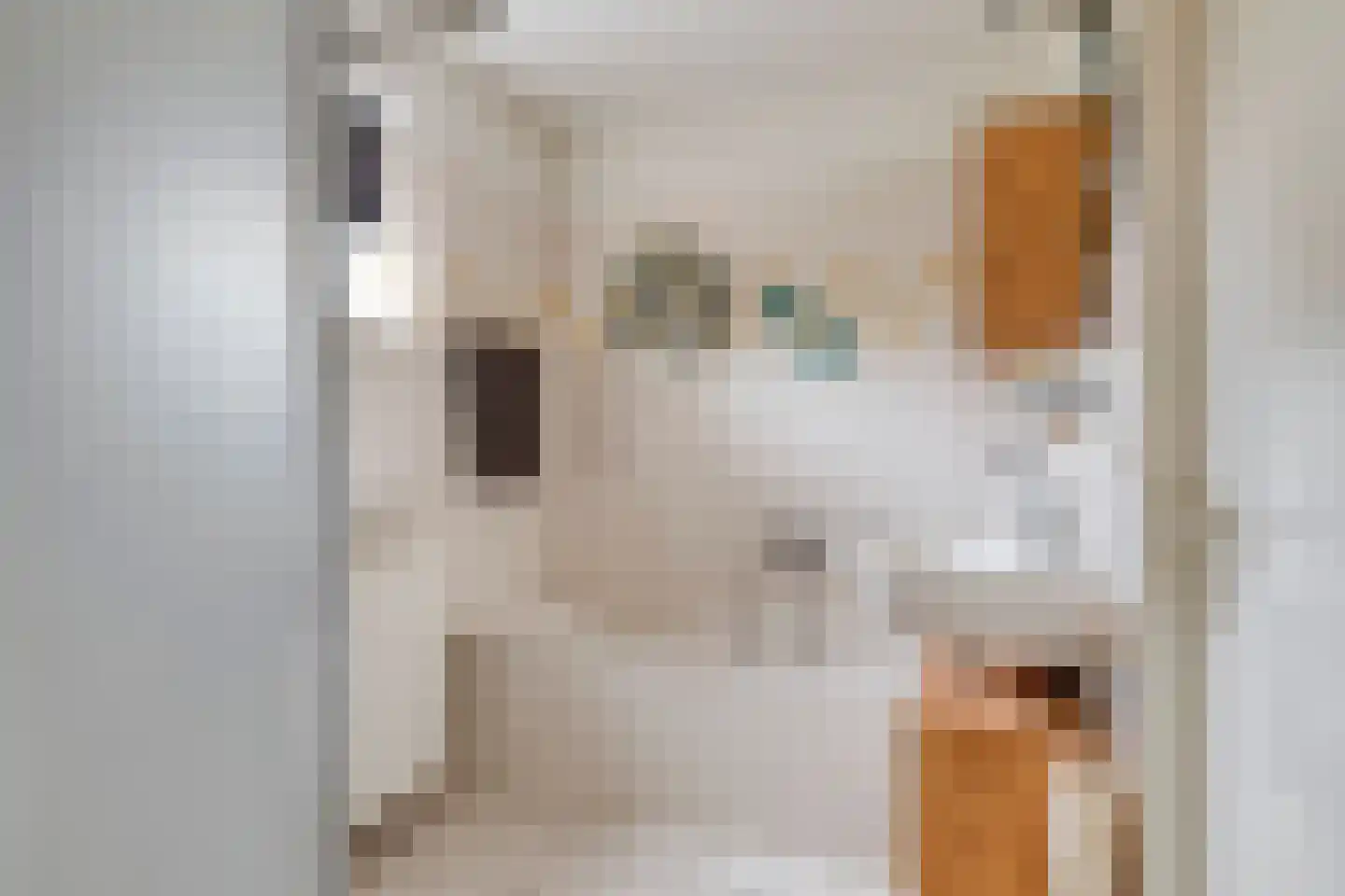 Van Eckstraat 66 Arnhem