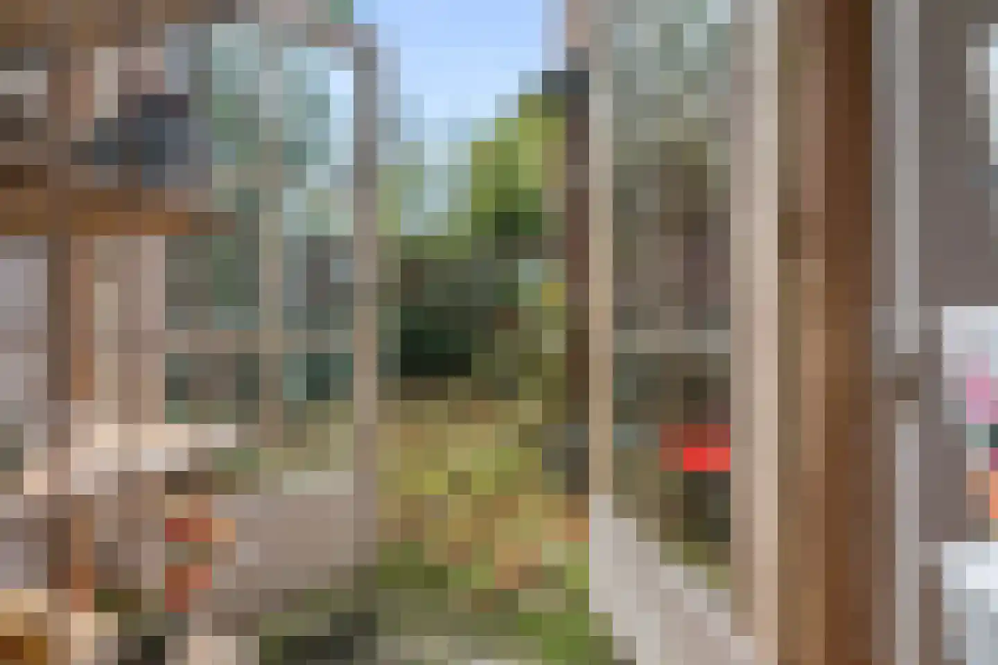 Van Eckstraat 68 Arnhem thumbnail 16