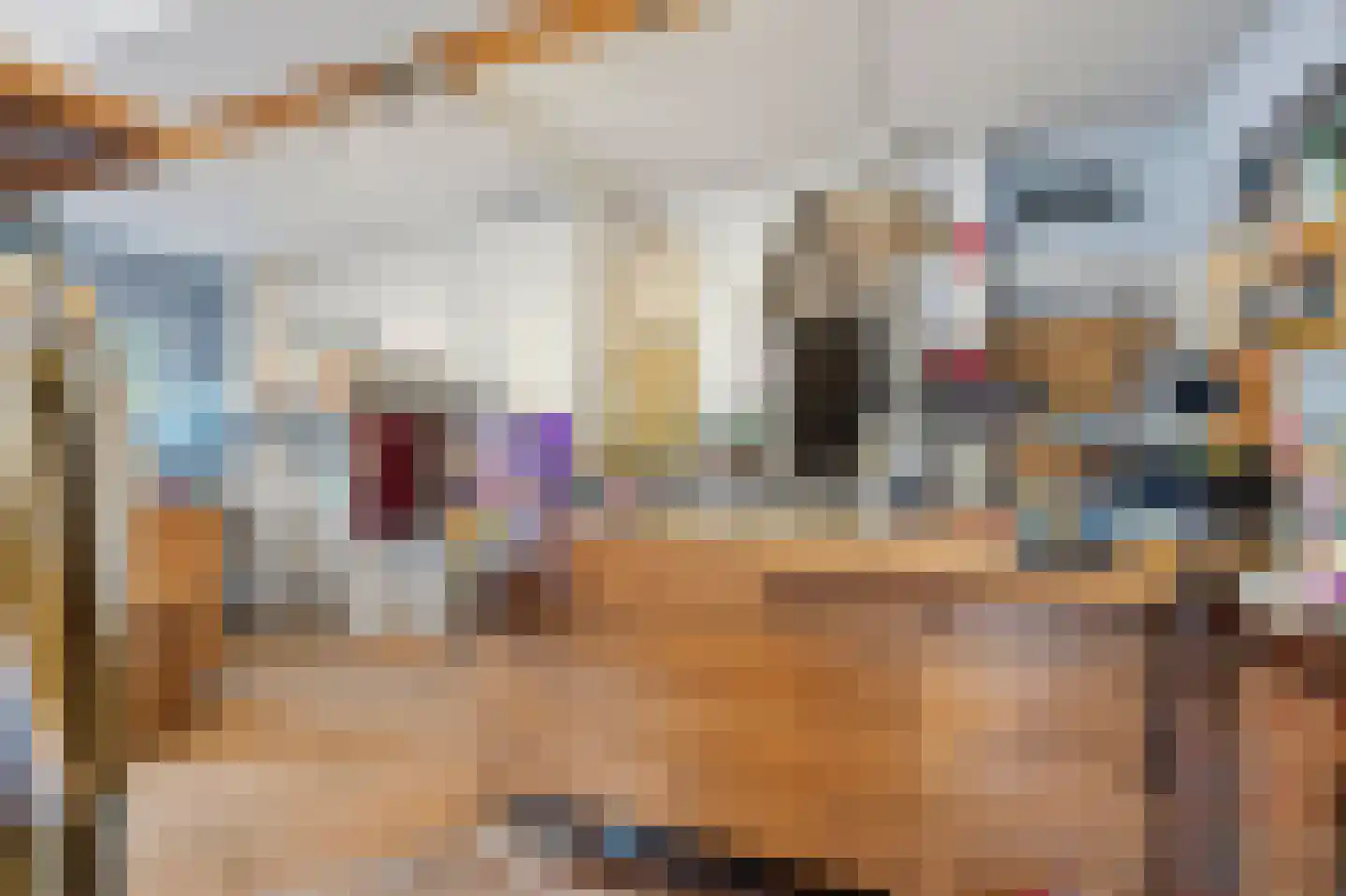 Van Eckstraat 68 Arnhem thumbnail 7