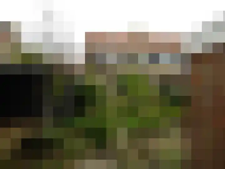 Van Eckstraat 9 Wieringerwerf thumbnail 18