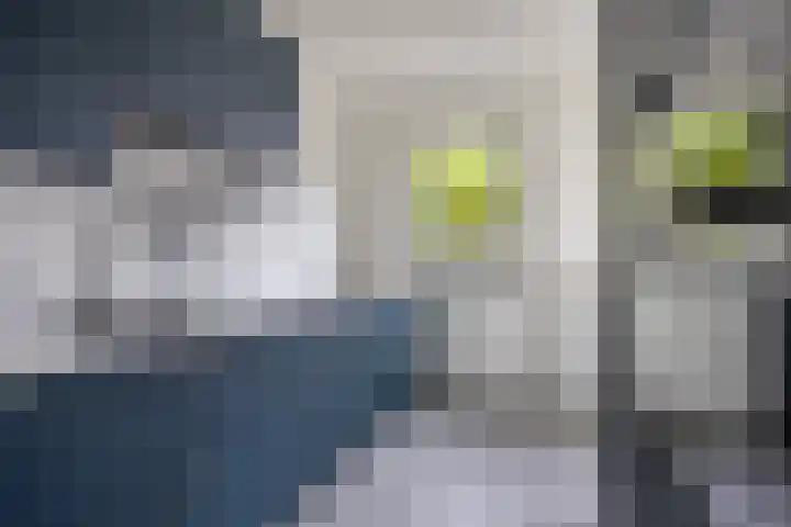 van Ederenstraat 18 Kerkrade thumbnail 12