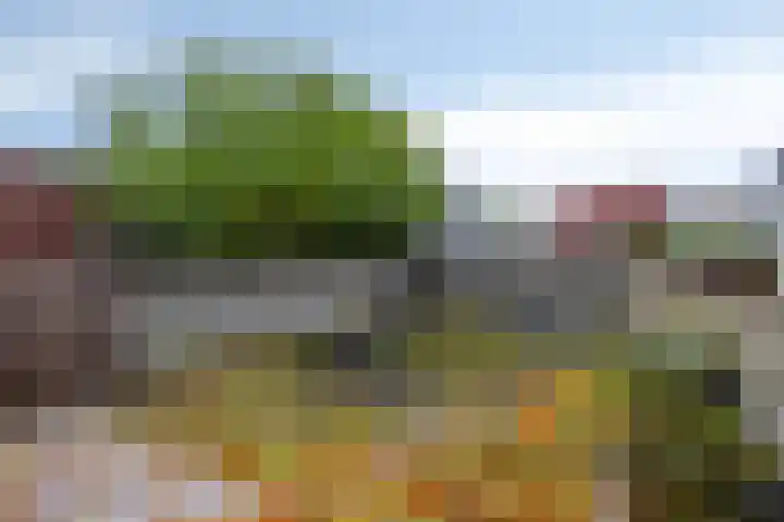 van Ederenstraat 18 Kerkrade thumbnail 32
