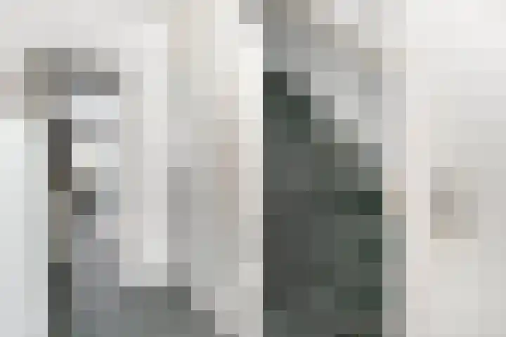 Van Eechoudlaan 100 Utrecht thumbnail 11