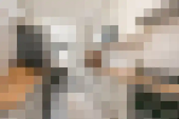 Van Eechoudlaan 100 Utrecht thumbnail 12