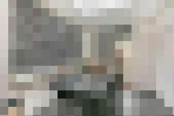 Van Eechoudlaan 100 Utrecht thumbnail 13