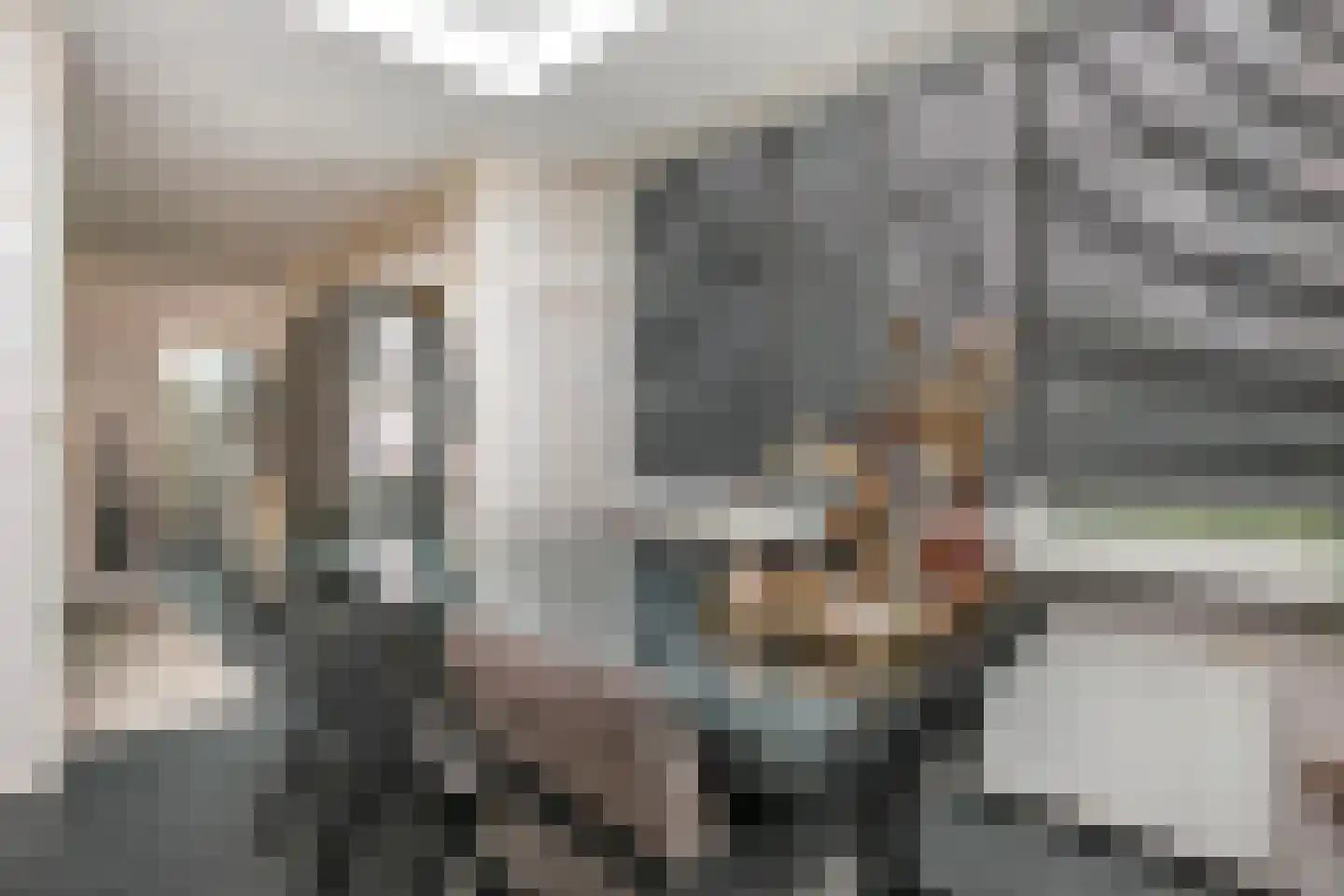 Van Eechoudlaan 100 Utrecht thumbnail 14