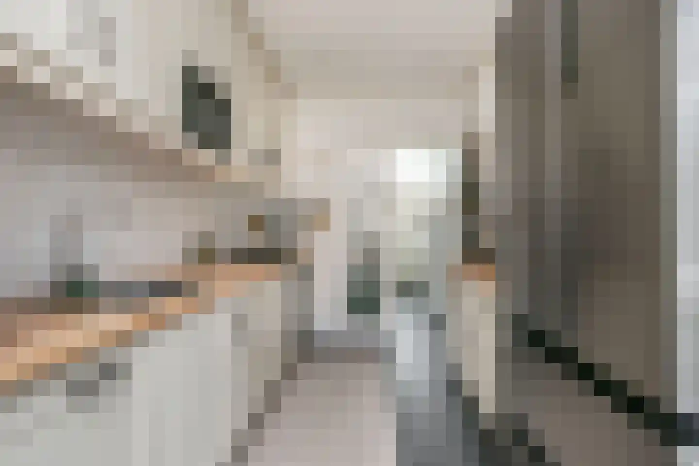 Van Eechoudlaan 100 Utrecht thumbnail 15