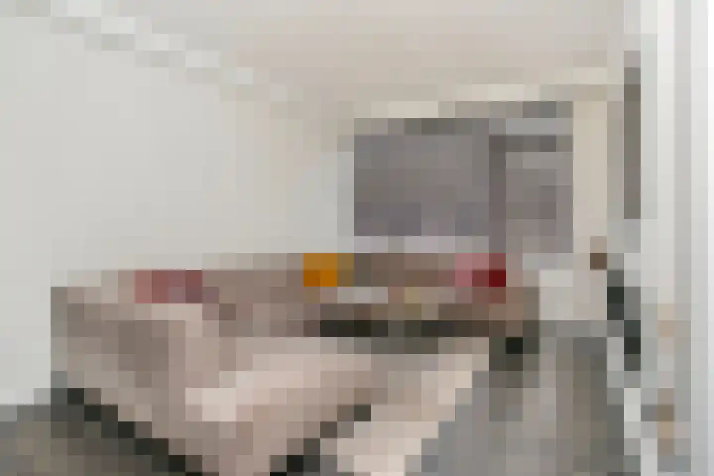 Van Eechoudlaan 100 Utrecht thumbnail 16