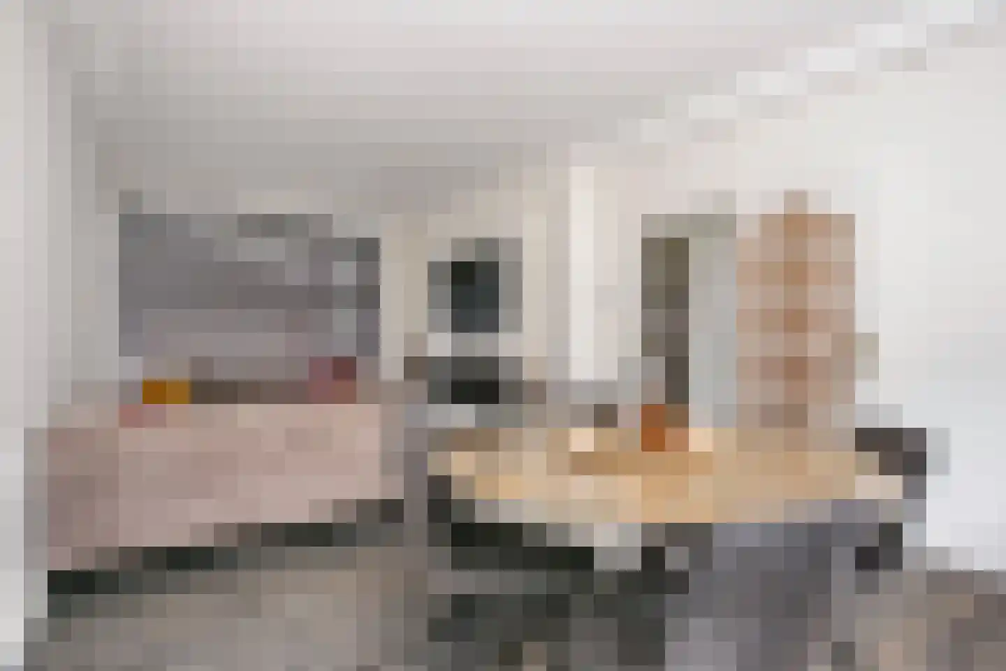 Van Eechoudlaan 100 Utrecht thumbnail 18