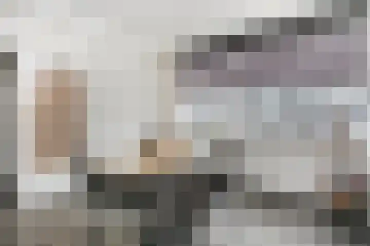 Van Eechoudlaan 100 Utrecht thumbnail 19