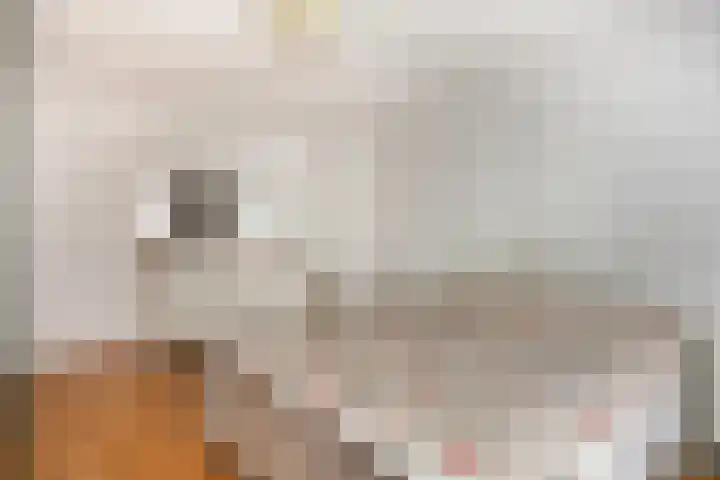 Van Eechoudlaan 100 Utrecht thumbnail 23