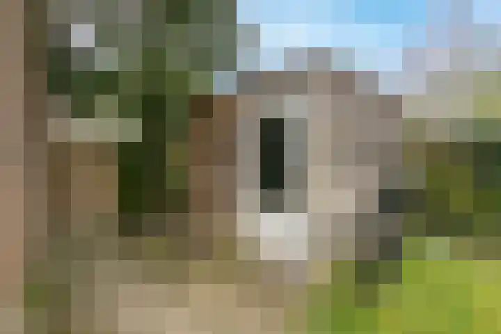 Van Eechoudlaan 100 Utrecht thumbnail 32