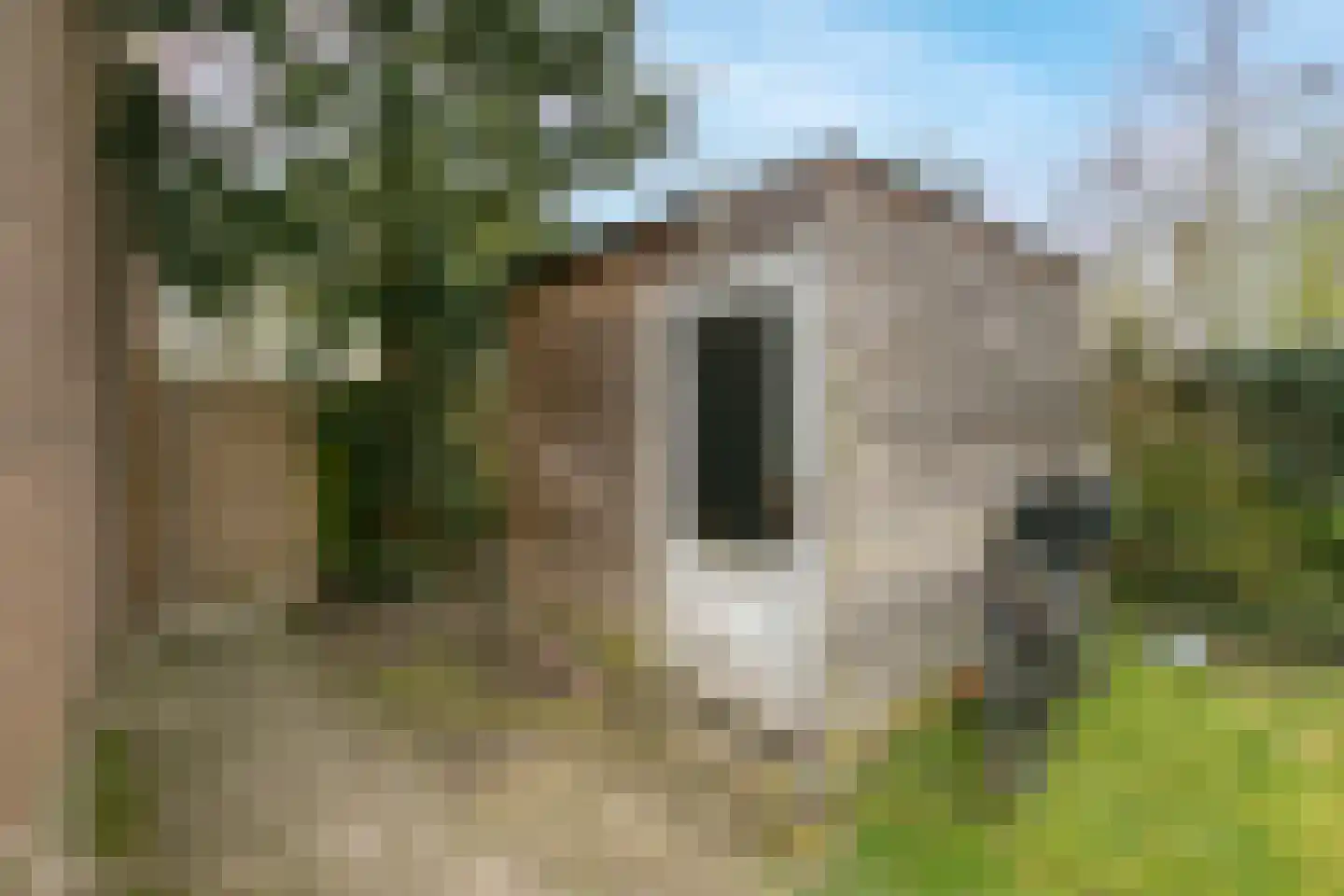 Van Eechoudlaan 100 Utrecht thumbnail 32