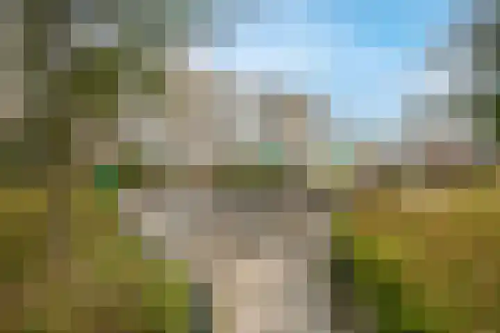 Van Eechoudlaan 100 Utrecht thumbnail 39