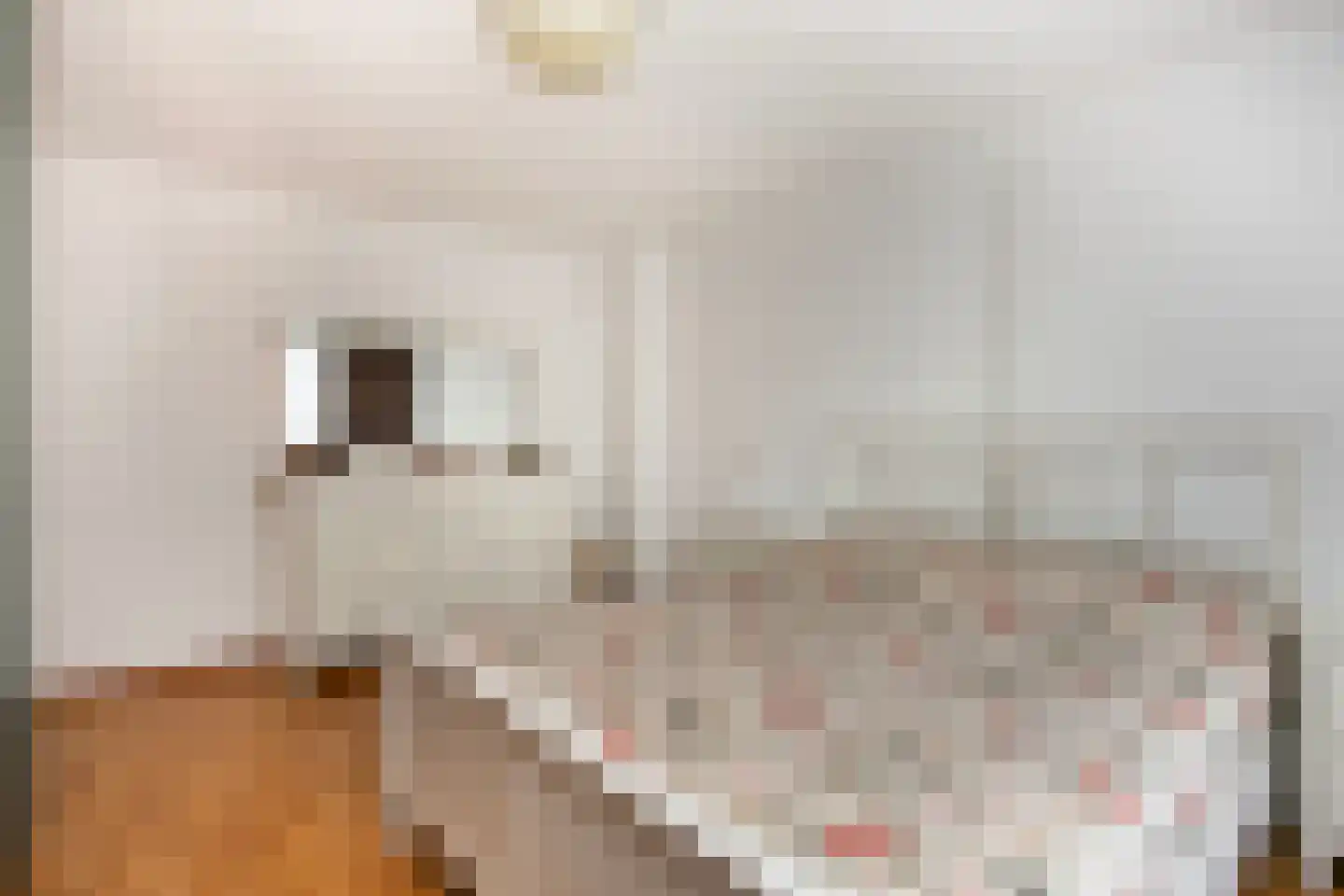 Van Eechoudlaan 100 Utrecht thumbnail 4