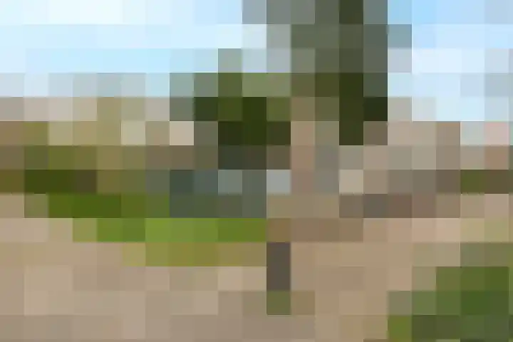 Van Eechoudlaan 100 Utrecht thumbnail 9