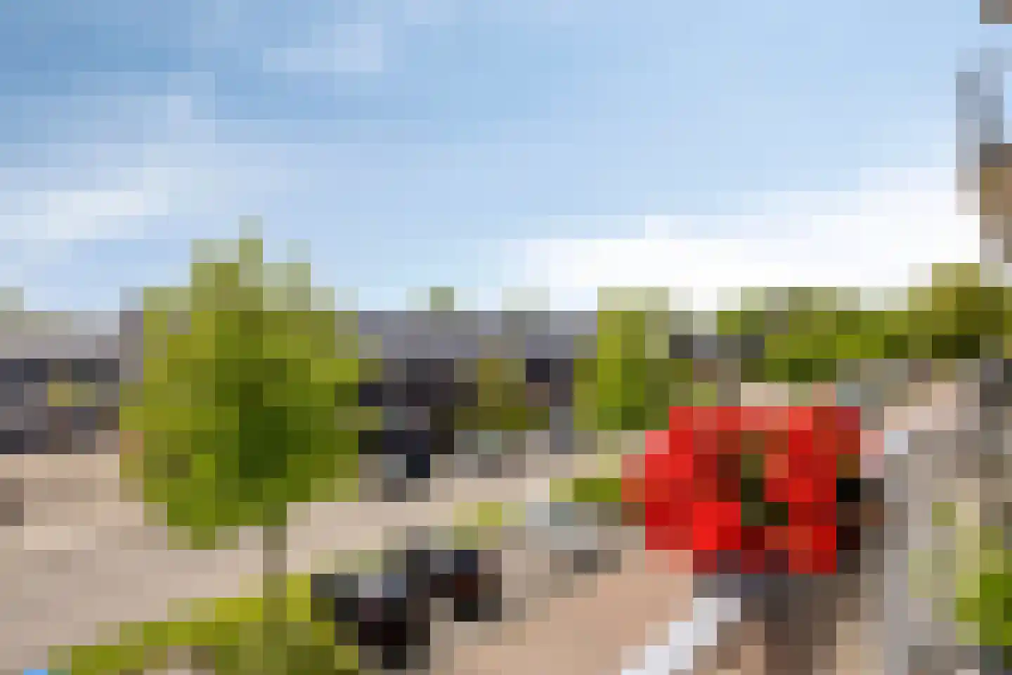van Eedenplein 84 Heerhugowaard thumbnail 38