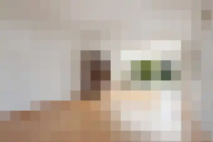 Van Eedenstraat 1 Dordrecht thumbnail 6