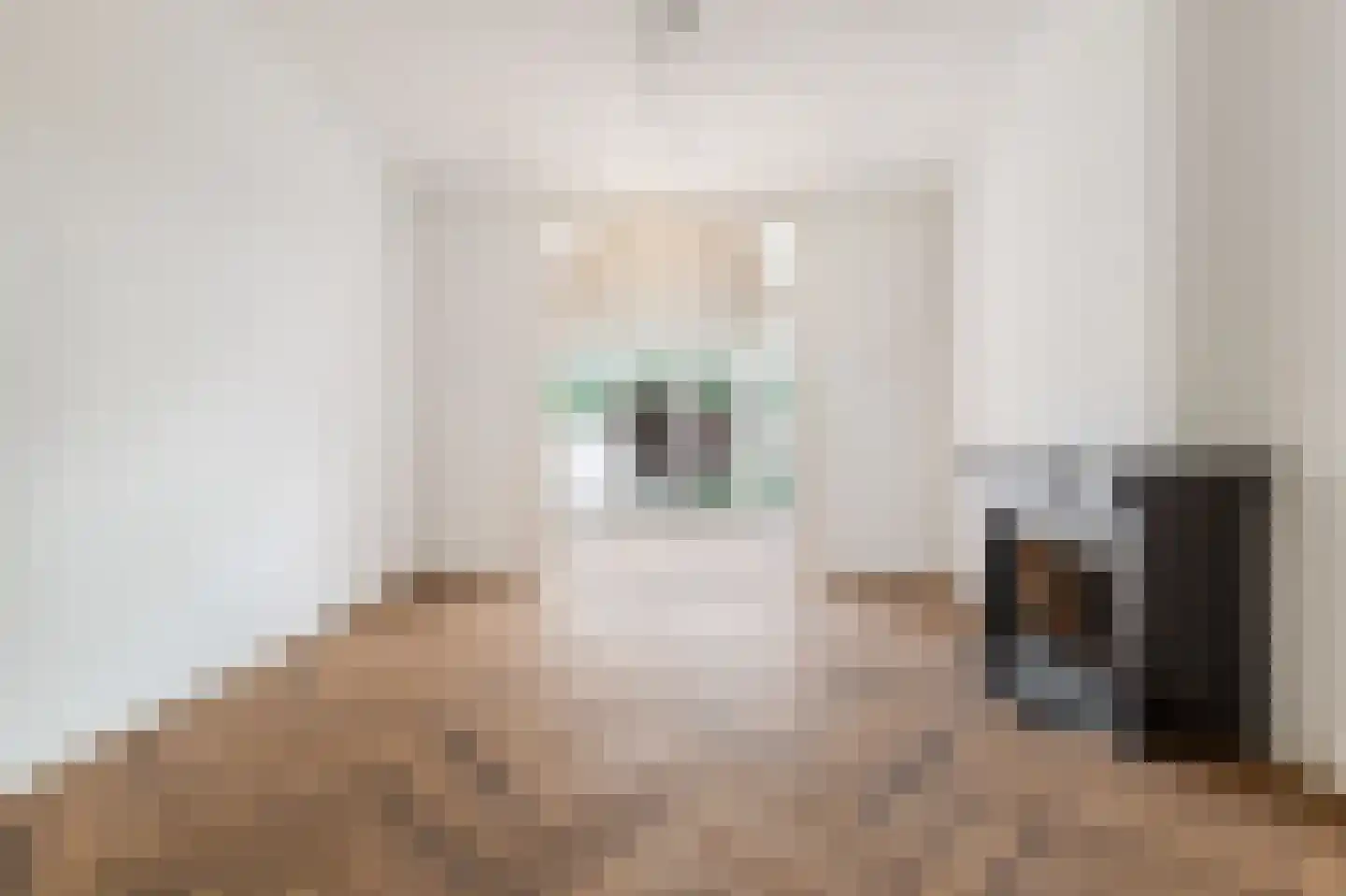 Van Eedenstraat 1 Haarlem thumbnail 13