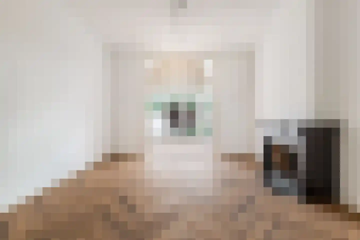 Van Eedenstraat 1 Haarlem thumbnail 13