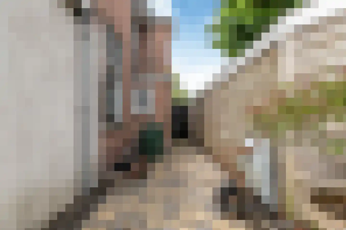 Van Eedenstraat 1 Haarlem thumbnail 19