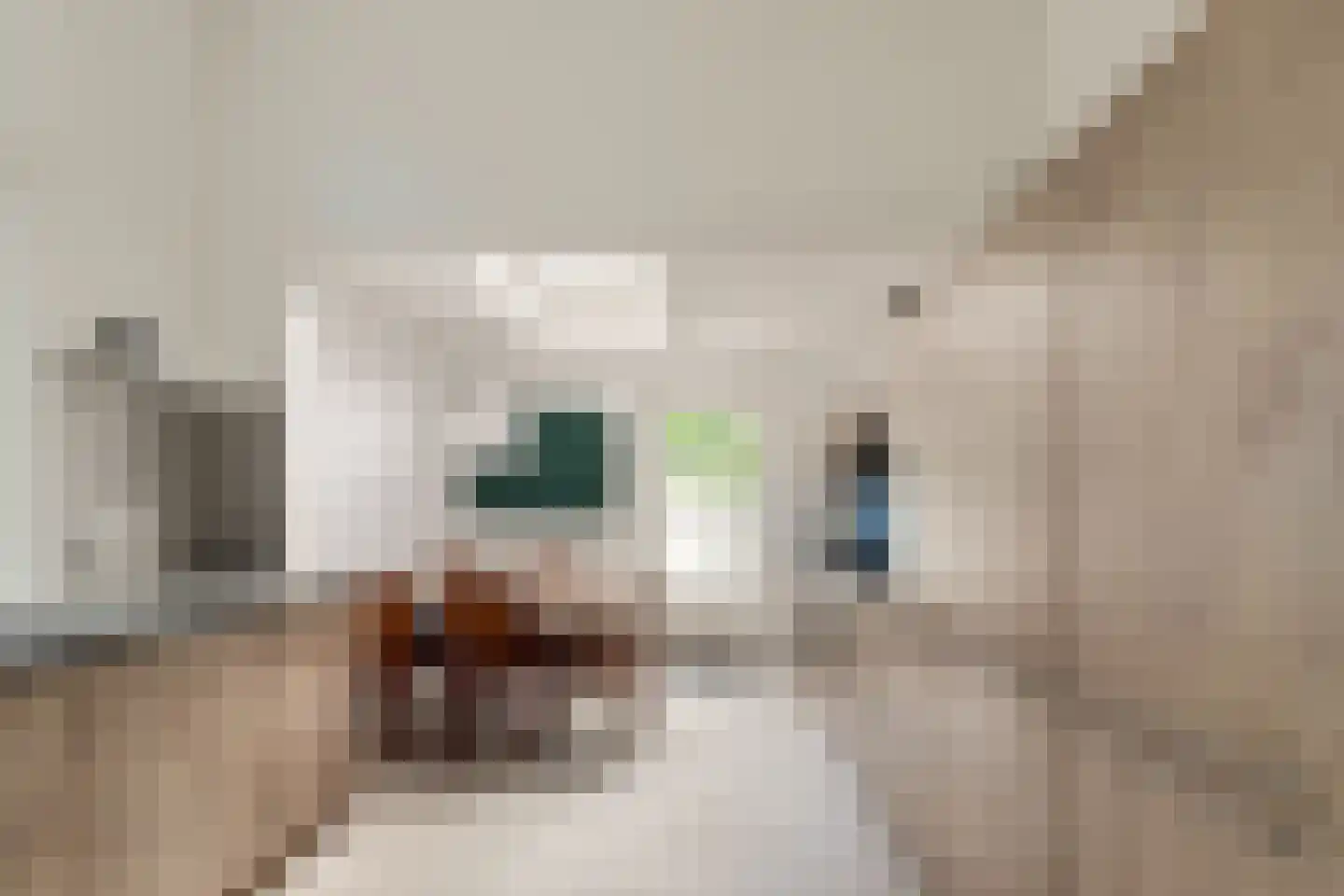 Van Eedenstraat 1 Haarlem thumbnail 21