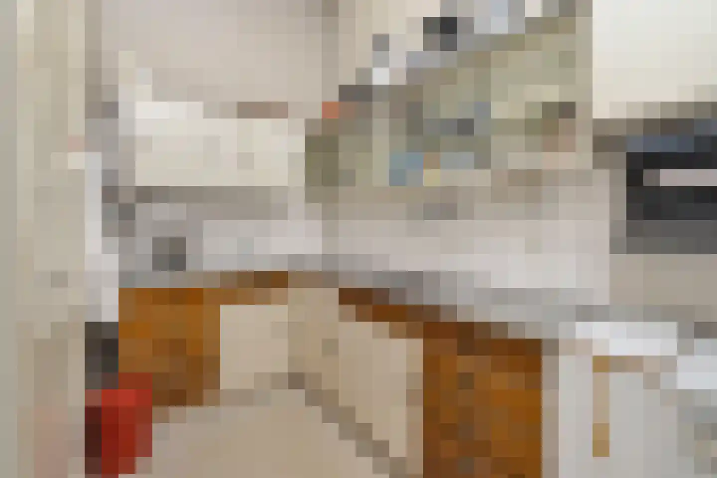 Van Eedenstraat 15 Haarlem thumbnail 10