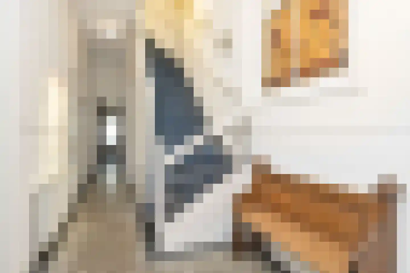 Van Eedenstraat 15 Haarlem thumbnail 12