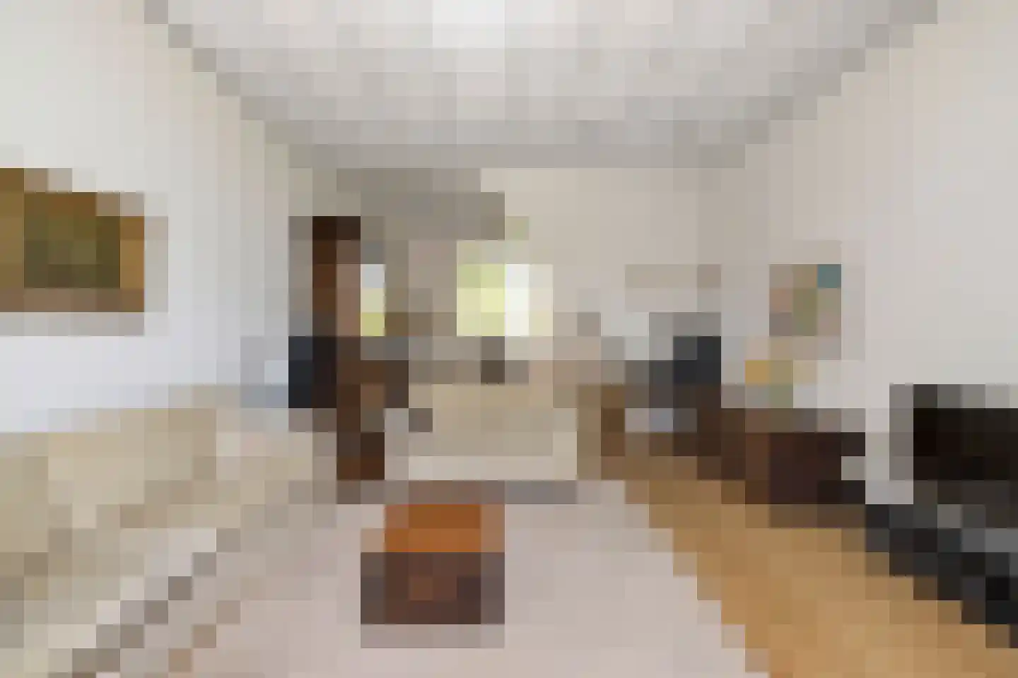 Van Eedenstraat 15 Haarlem thumbnail 16
