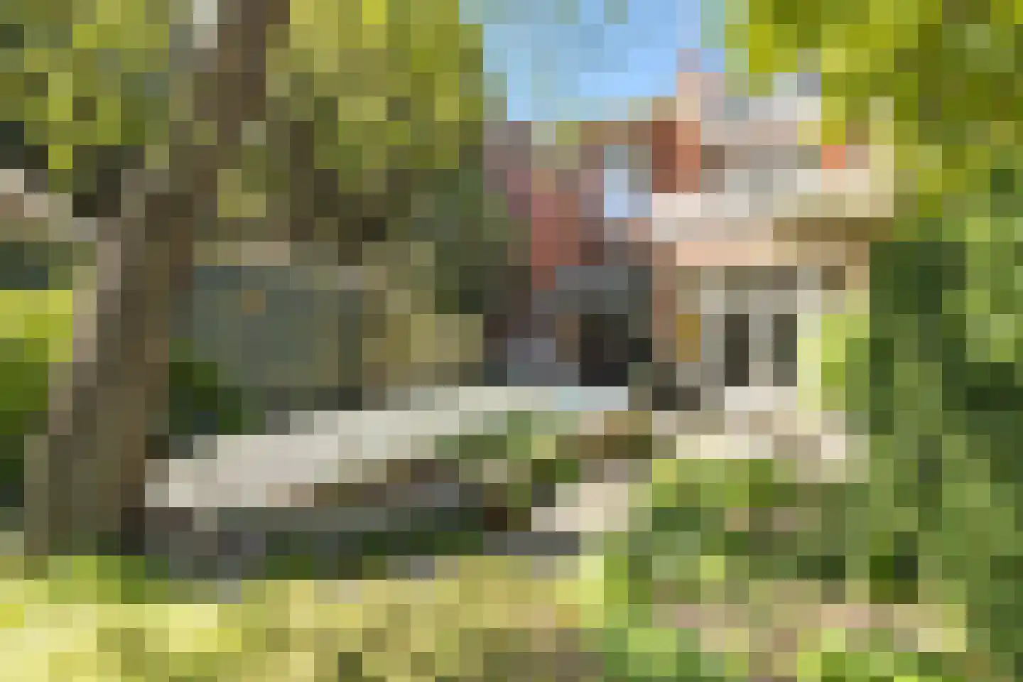 Van Eedenstraat 15 Haarlem thumbnail 25