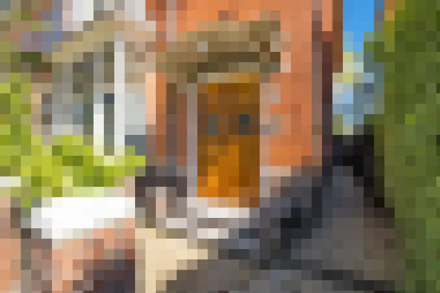 Van Eedenstraat 15 Haarlem thumbnail 4