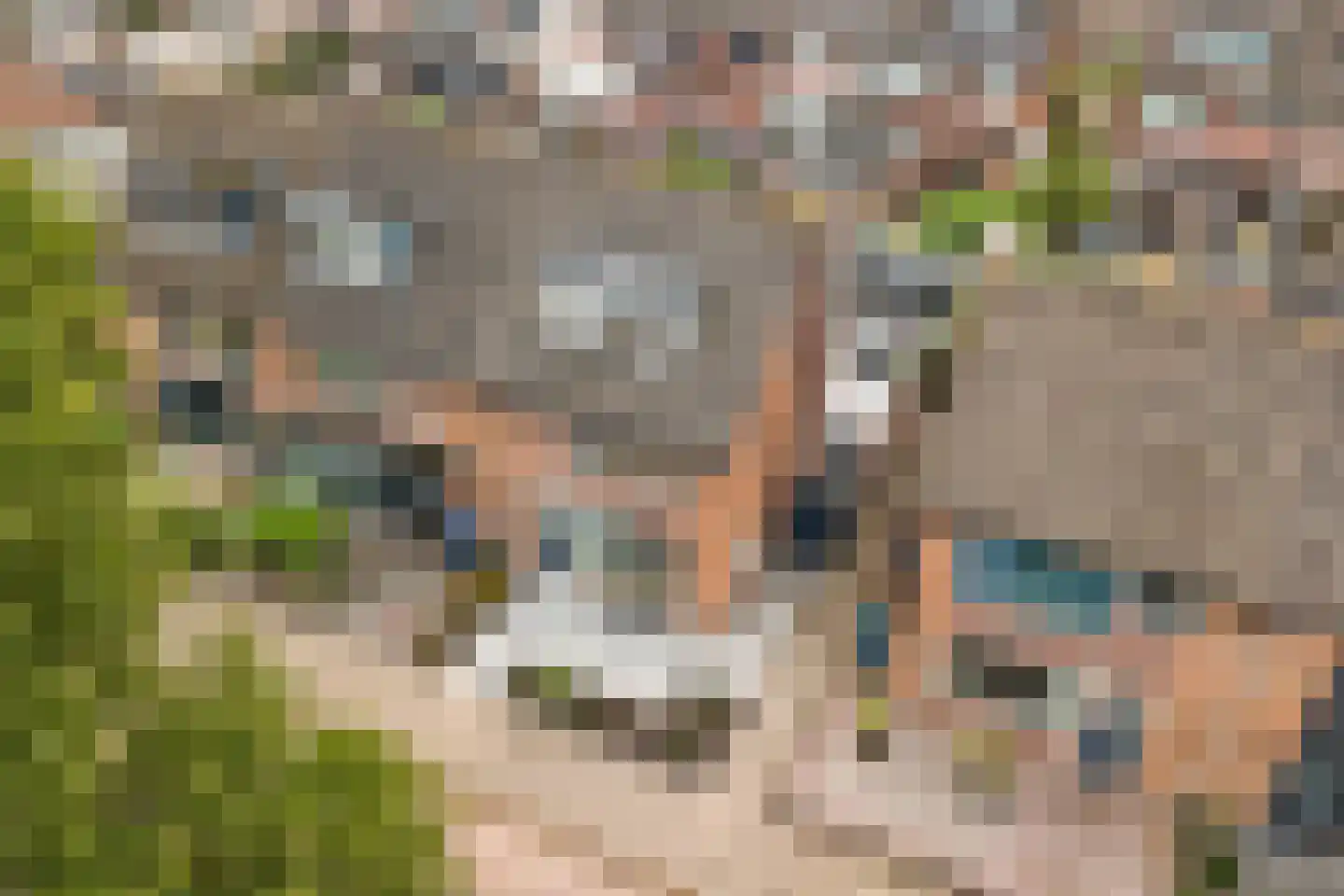 Van Eedenstraat 15 Harderwijk thumbnail 37