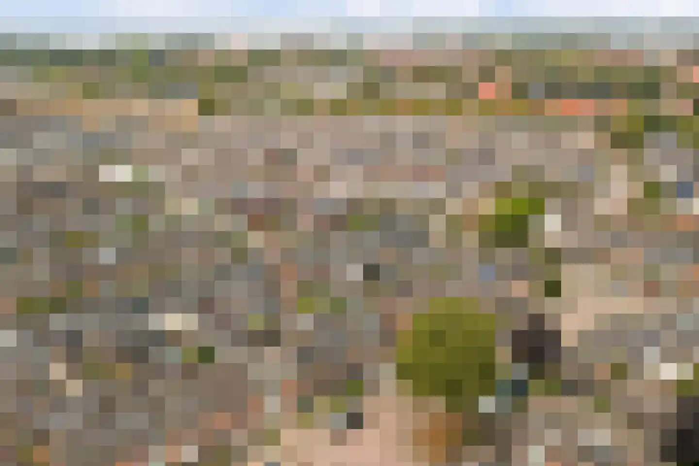Van Eedenstraat 15 Harderwijk thumbnail 39