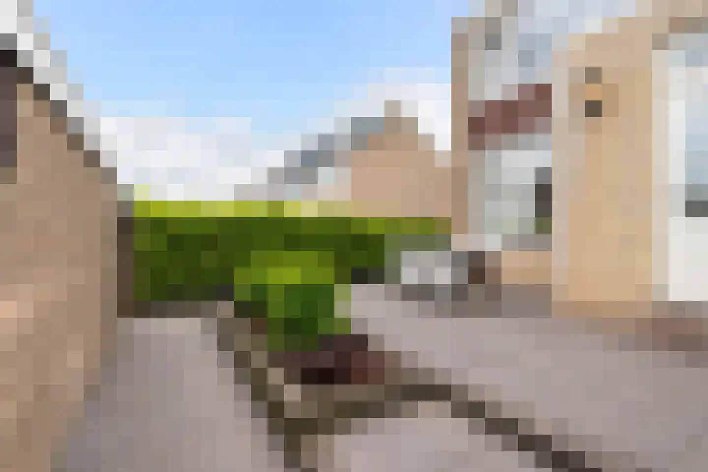 Van Eedenstraat 17 Dordrecht thumbnail 29