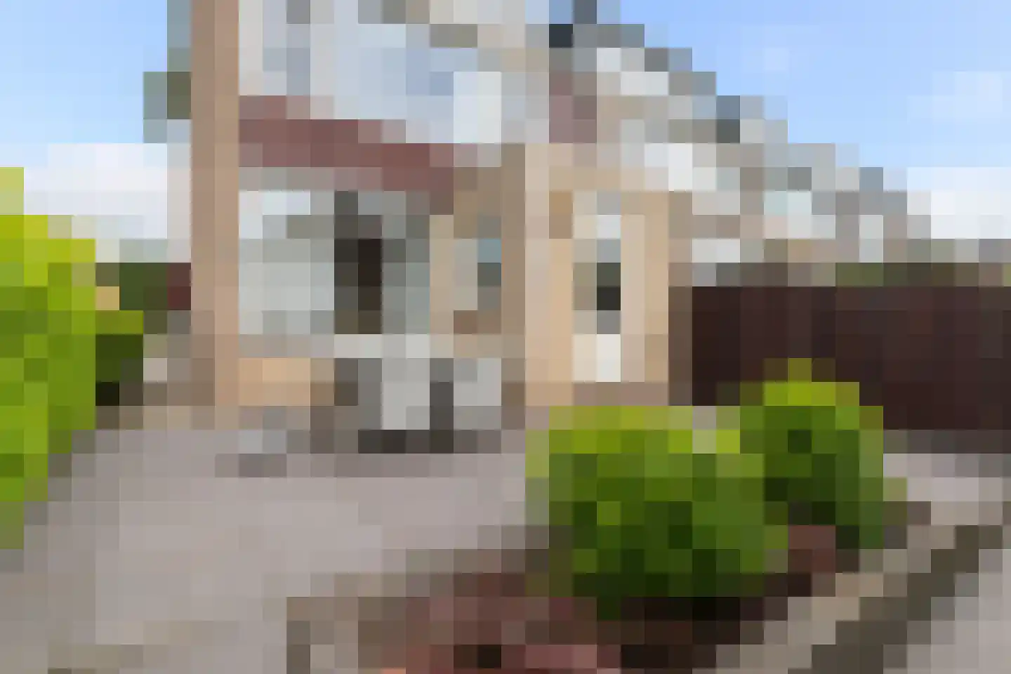 Van Eedenstraat 17 Dordrecht thumbnail 32