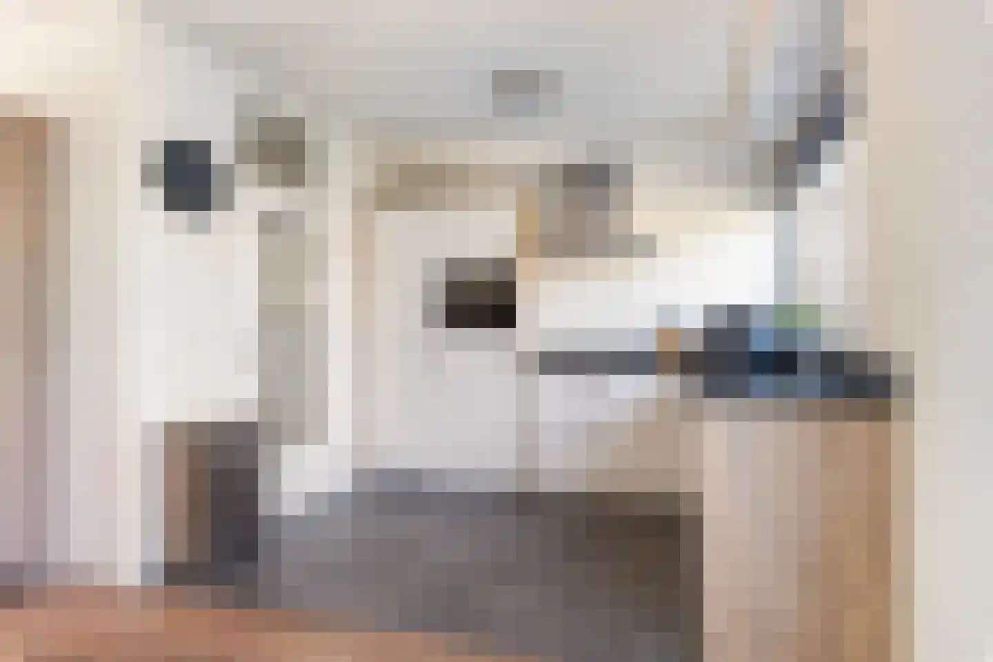 van Eedenstraat 17 Goor thumbnail 15