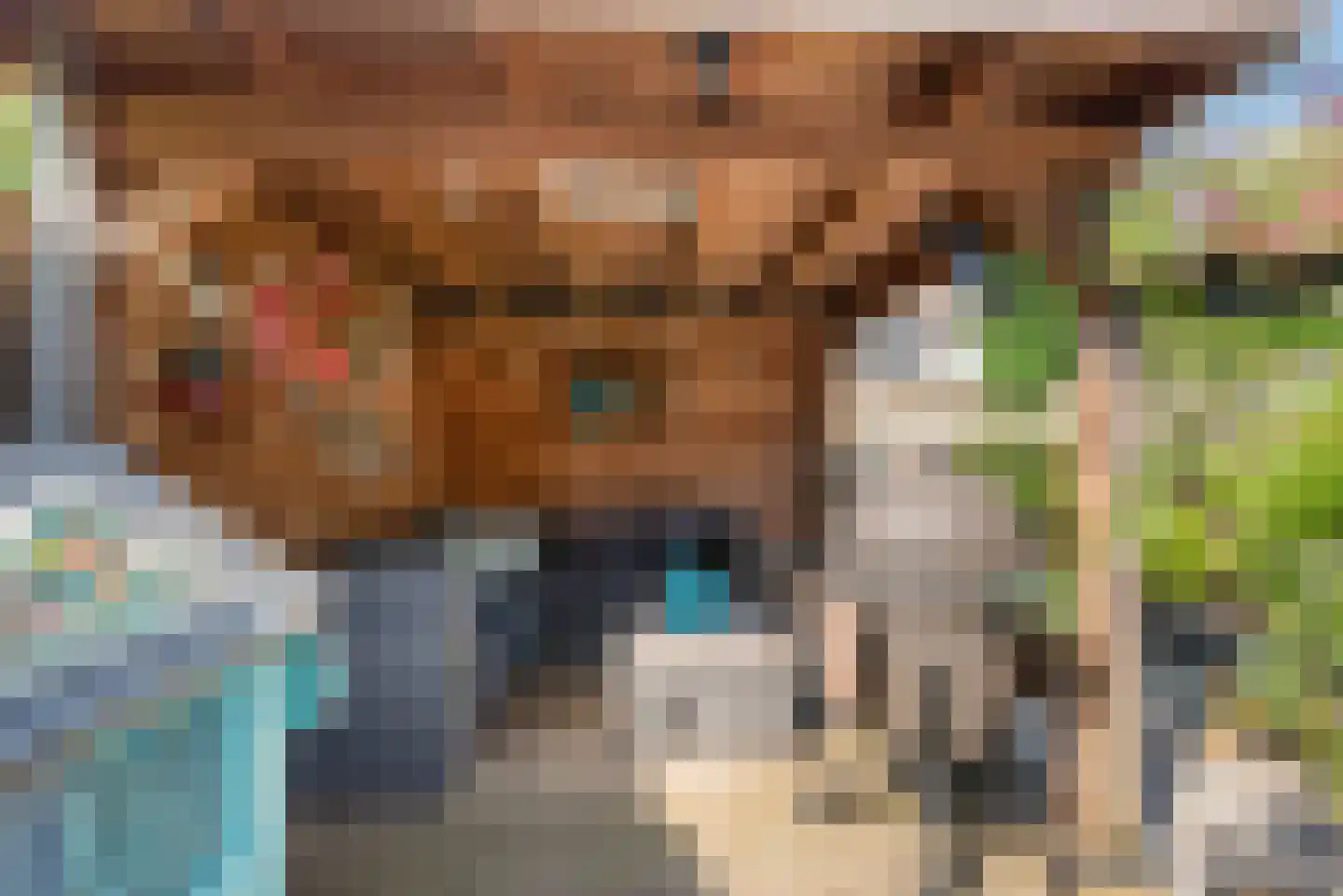 van Eedenstraat 17 Goor thumbnail 8