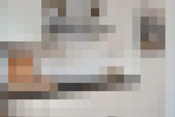 Van Eedenstraat 18 Zwolle thumbnail 12