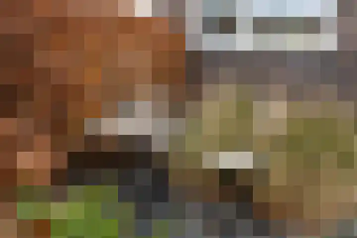 Van Eedenstraat 18 Zwolle thumbnail 4