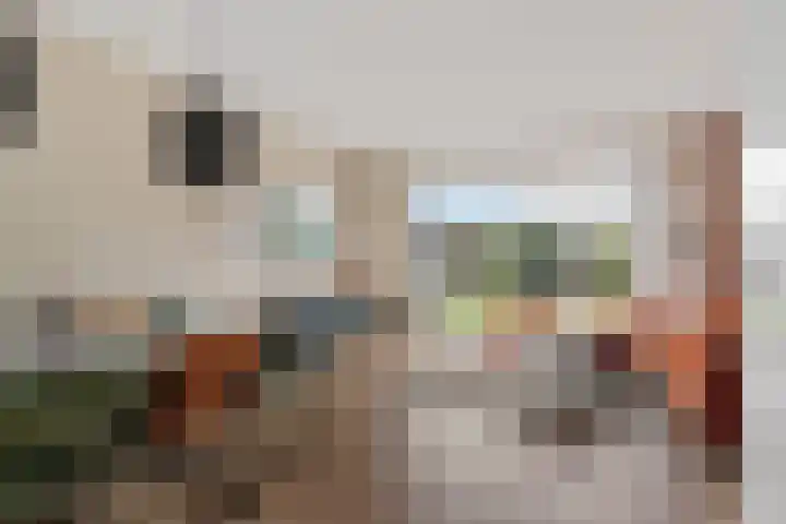 Van Eedenstraat 18 Zwolle thumbnail 5