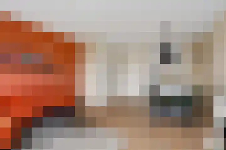 Van Eedenstraat 18 Zwolle thumbnail 8